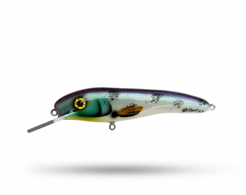 Billow Baits Motus - Cisco